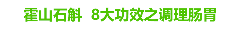 霍山石斛调理肠胃